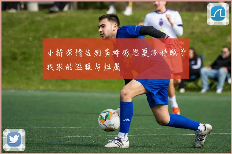 小桥深情告别黄蜂感恩夏洛特赋予我家的温暖与归属